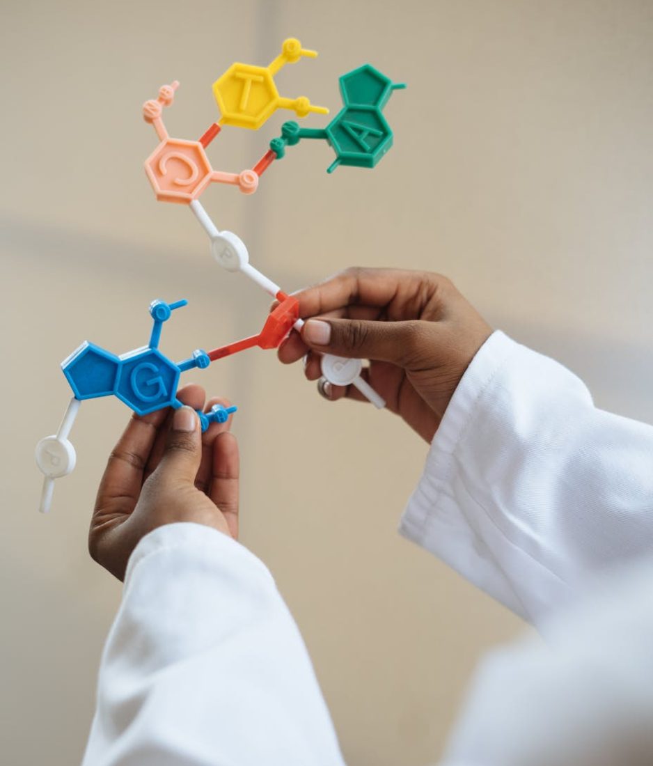 pexels-photo-3825527-3825527 Close-up of a scientist's hands holding a colorful molecular model in a lab setting.